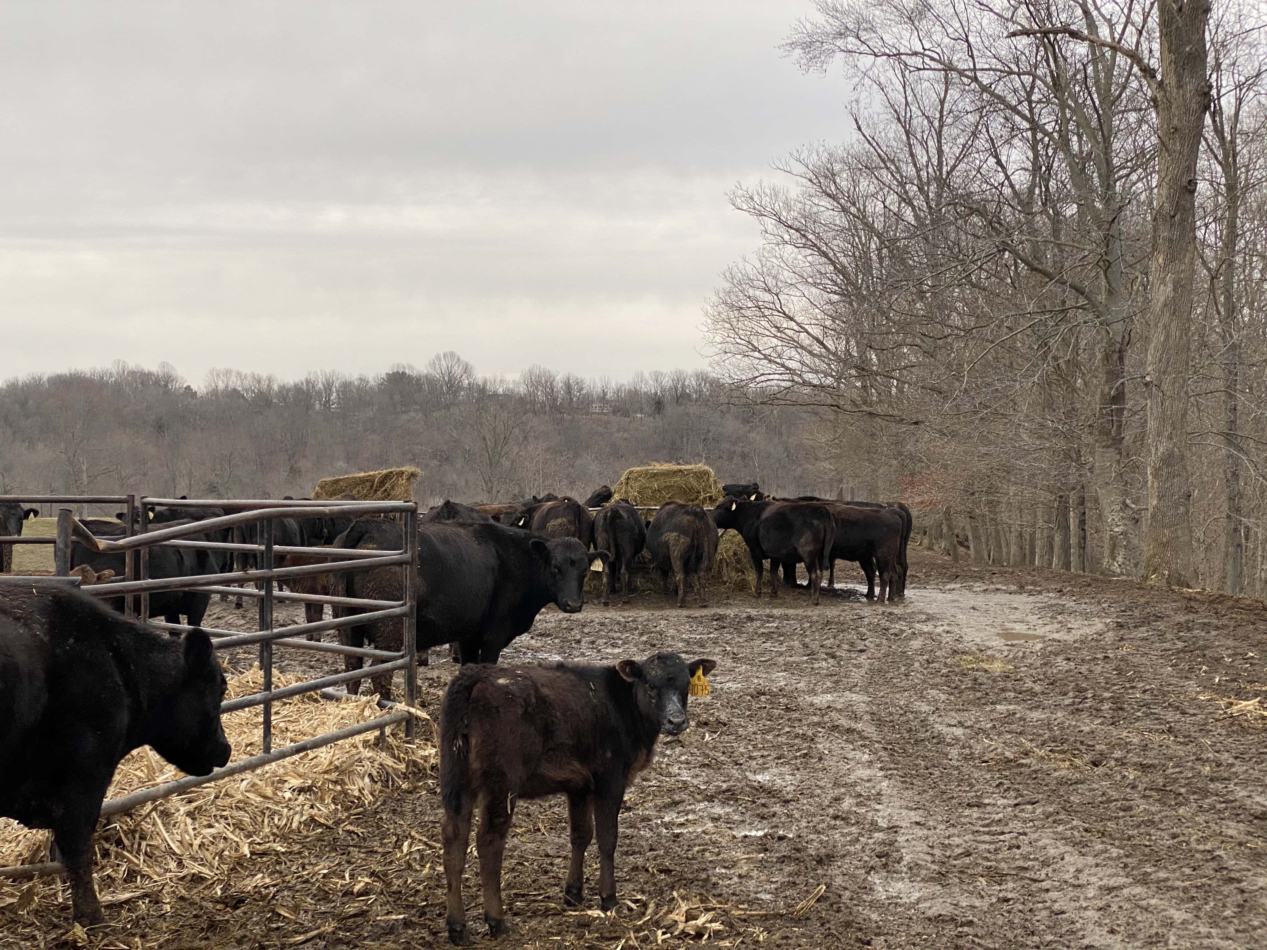Richmond Farmer Bob Minerich Talks With Ag Edge WKDZ Radio