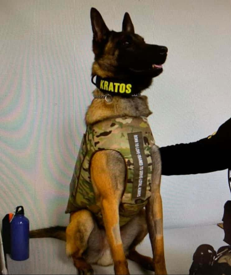 Tcso K9 Receives Donation Of New Body Armor Whvo Fm