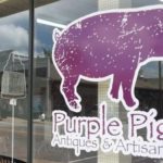 5-21-purple-pig