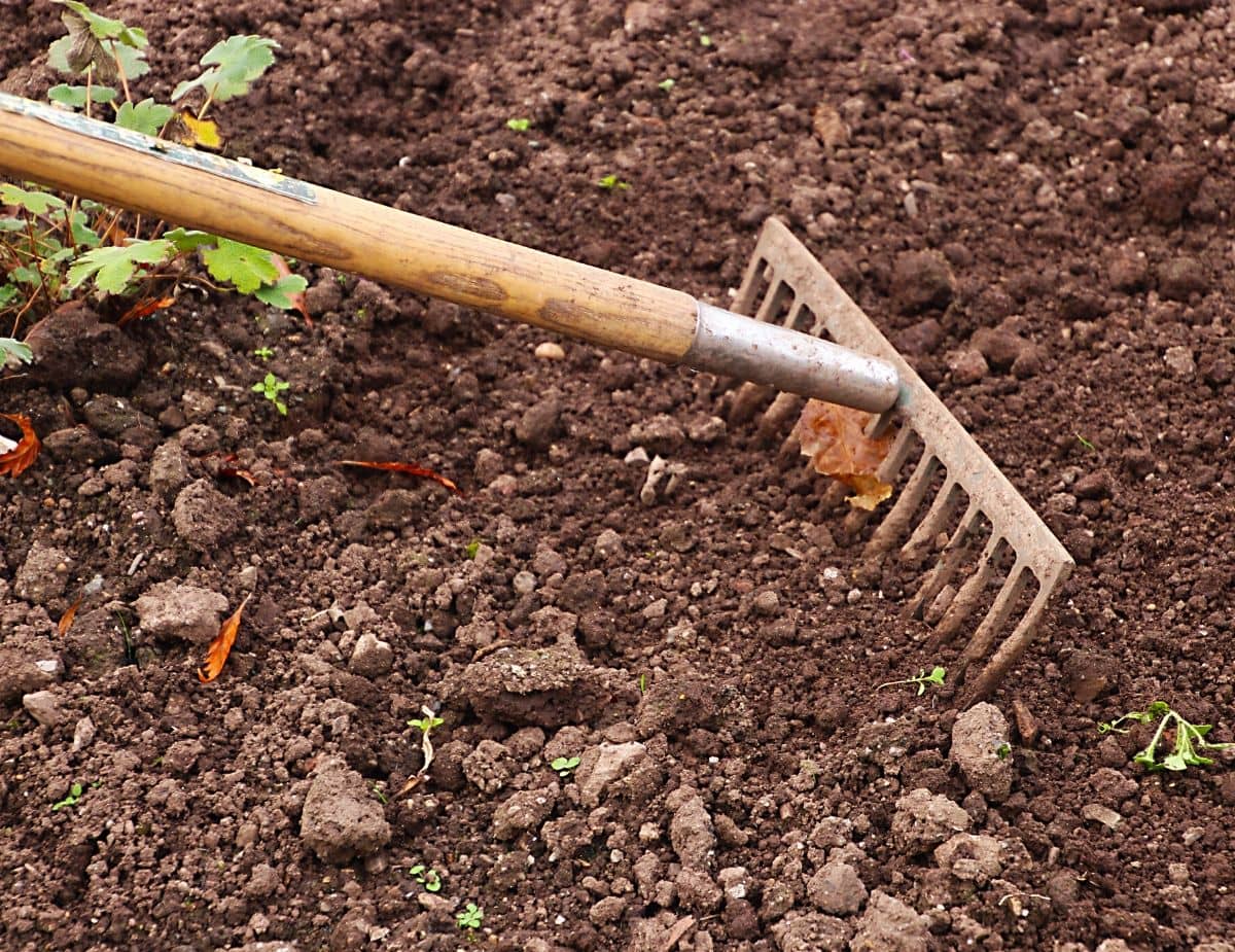 Planting In Clay Soils Wkdz Radio