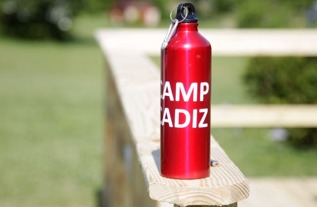 Camp Cadiz Regroups, Stays Energized - Vimarsana News