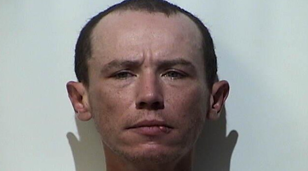 Man Charged With Running From Police - Vimarsana News