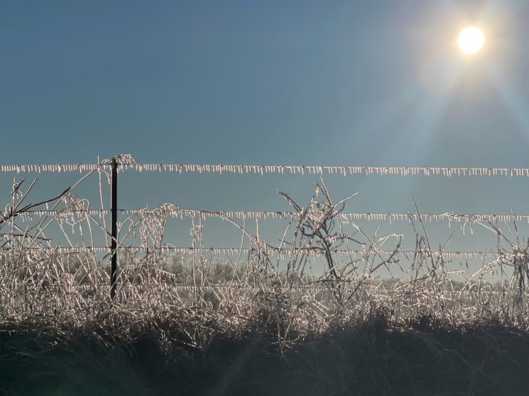 730a3e2d-85fb-490e-8711-92df9b63faac-3