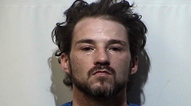 Man Charged With Searching For Child Pornography - Vimarsana News