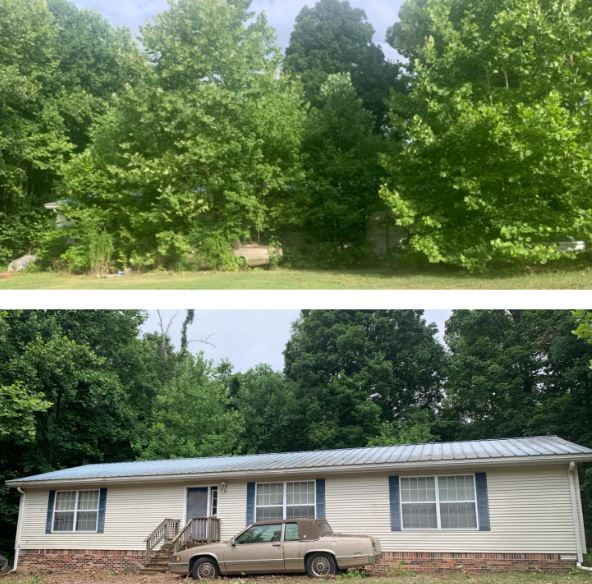Camp Cadiz Delivers Incredible Landscaping Transformation - Vimarsana News