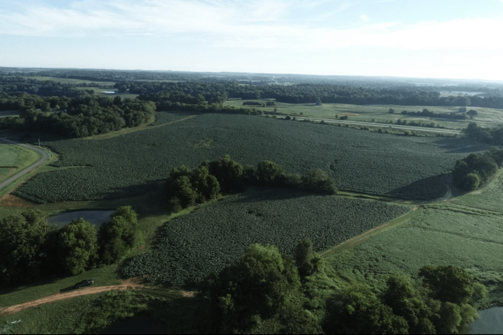 Kentucky Agriculture Receipts Set A New Record In 2021 - Vimarsana News