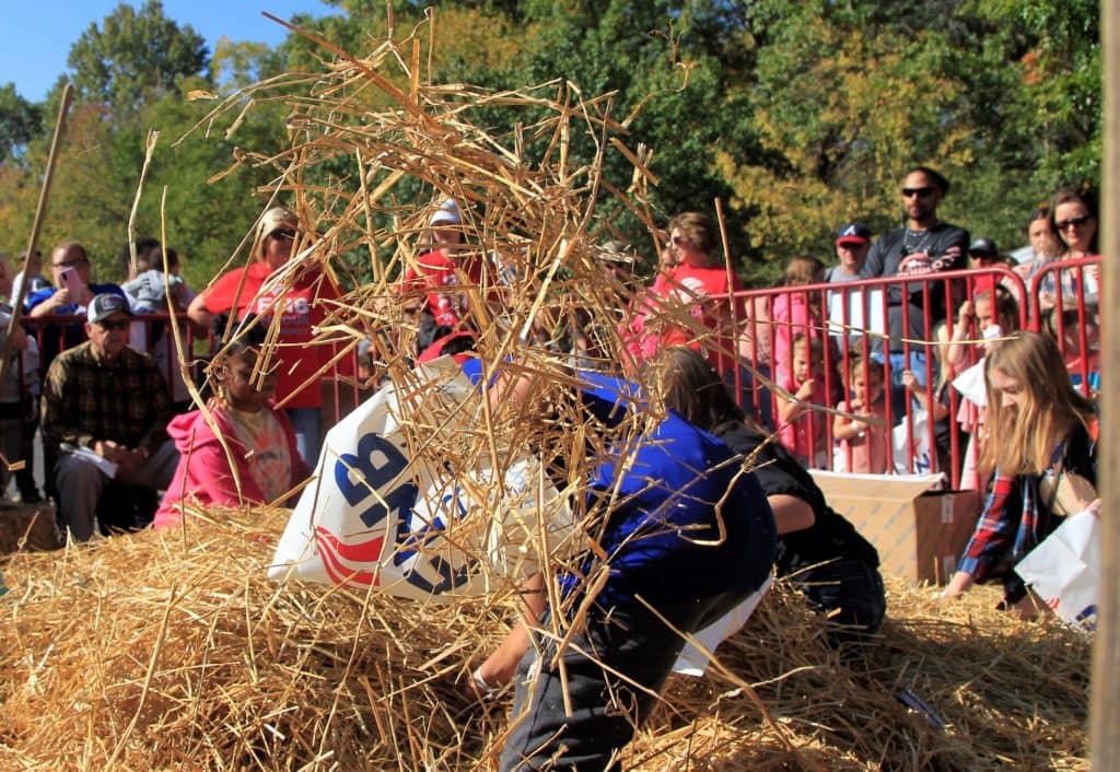 Photos 46th Annual Trigg County Country Ham Festival Day 2 Wkdz Radio