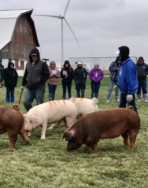 ky-4-h-livestock-team-4