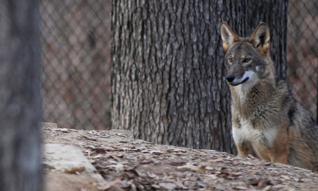 WKDZFM 106.5 FM Cadiz KY