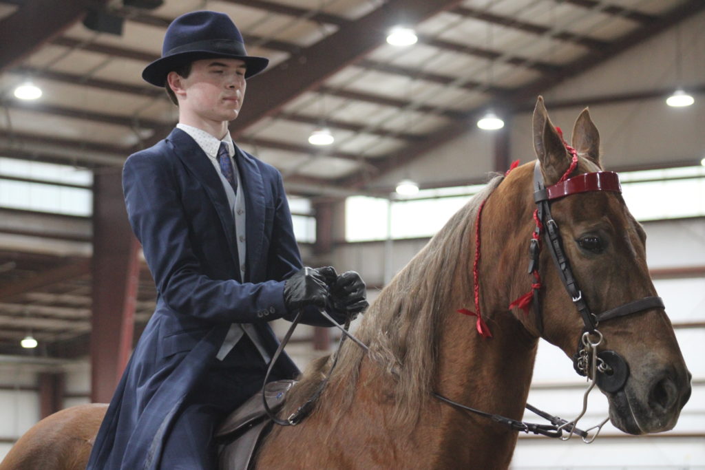 PHOTOS 2023 Pennyroyal Charity Horse Show Ag News Kentucky