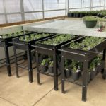 Christian-Co-Greenhouse-18