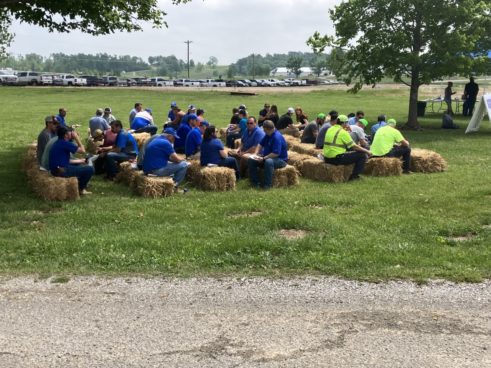 2023-uk-wheat-field-day-7