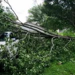 crofton-storm-damage
