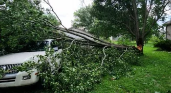 crofton-storm-damage