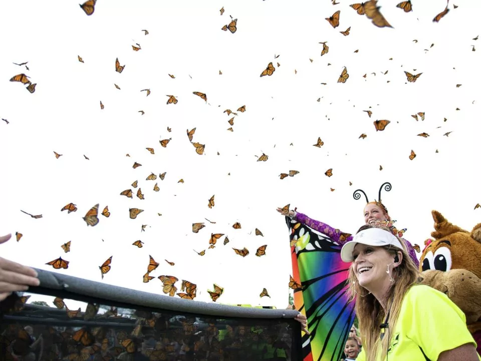 Butterfly Festival Oak Grove, KY WKDZ Radio