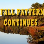 fall-pattern-continues-3