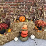 Southern-States-Cadiz-5