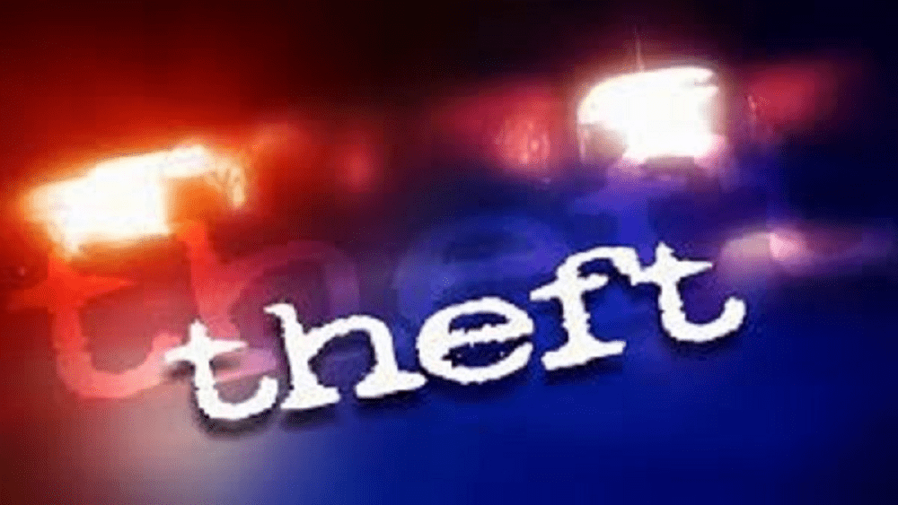 Dog And Laptop Reported Stolen In Hopkinsville