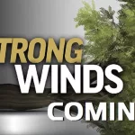 strong-winds-coming-3