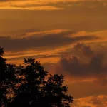 Orange sky in New Jersey from Canada wildfires