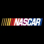 color-of-the-nascar-logo
