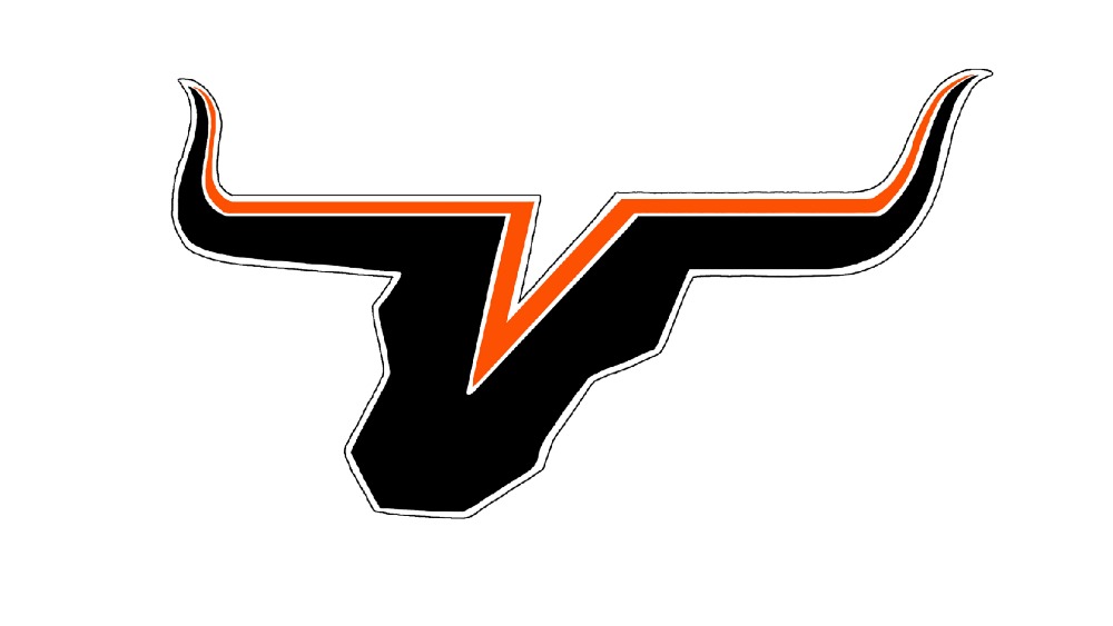 viola-longhorn-logo