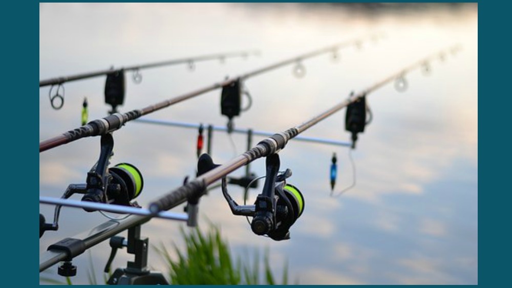 fishing-rods