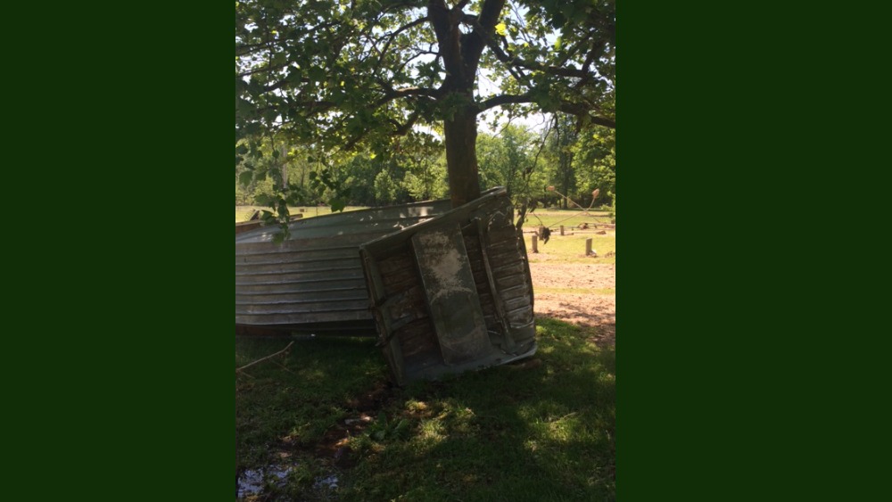 thomasville-tree