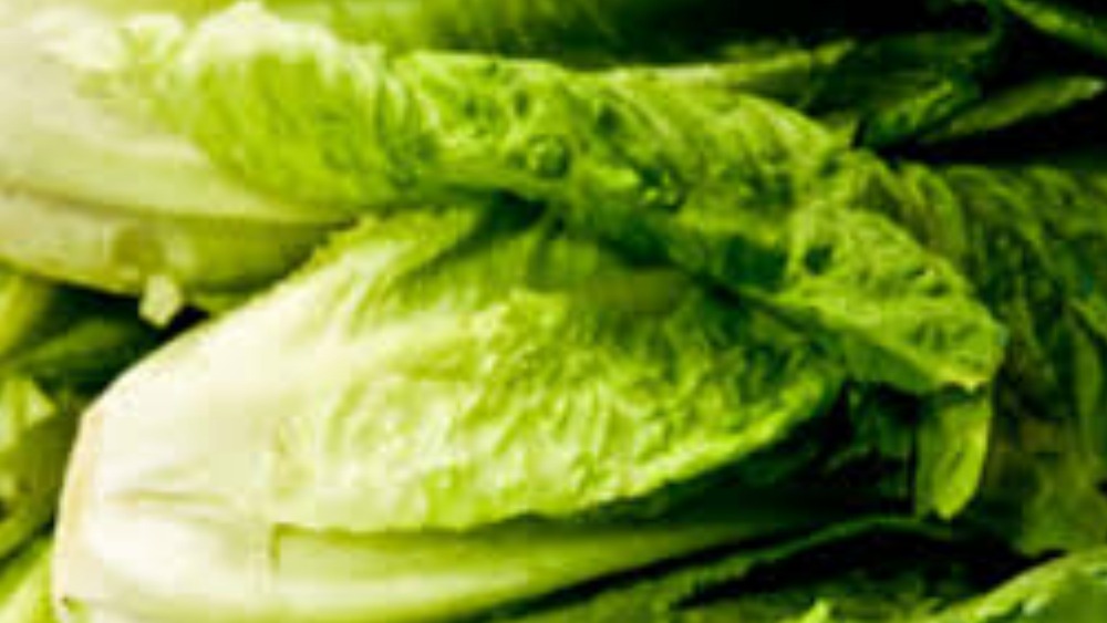 lettuce-fi