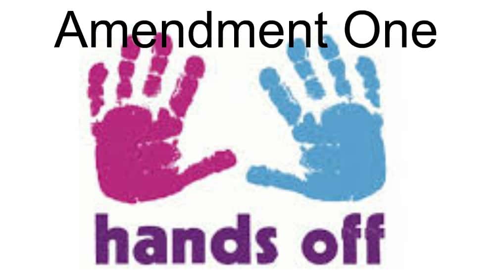 amendment-one-fi