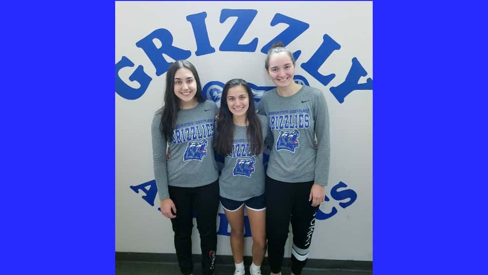 grizz-fi
