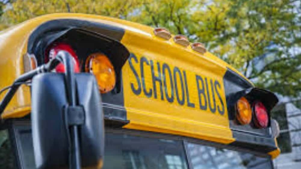 bus-2