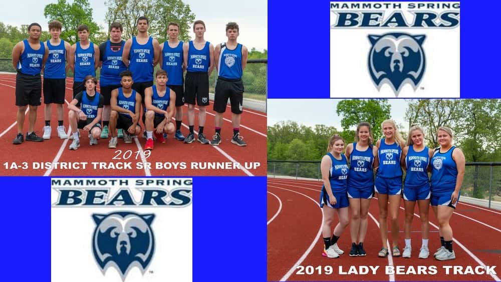 bears-track