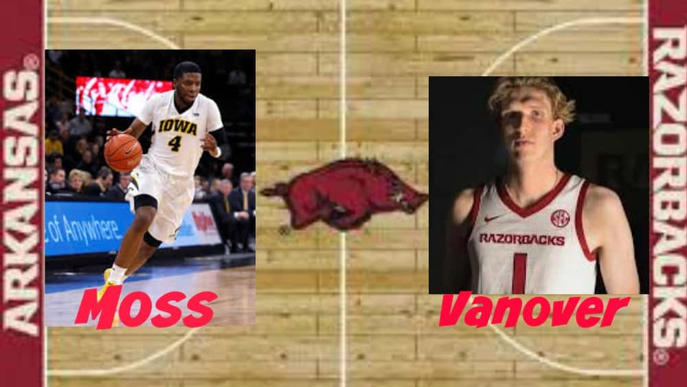 new-hogs