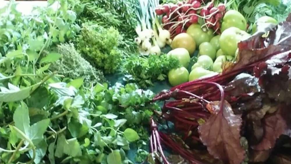 farmers-market