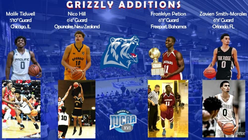 grizzlies