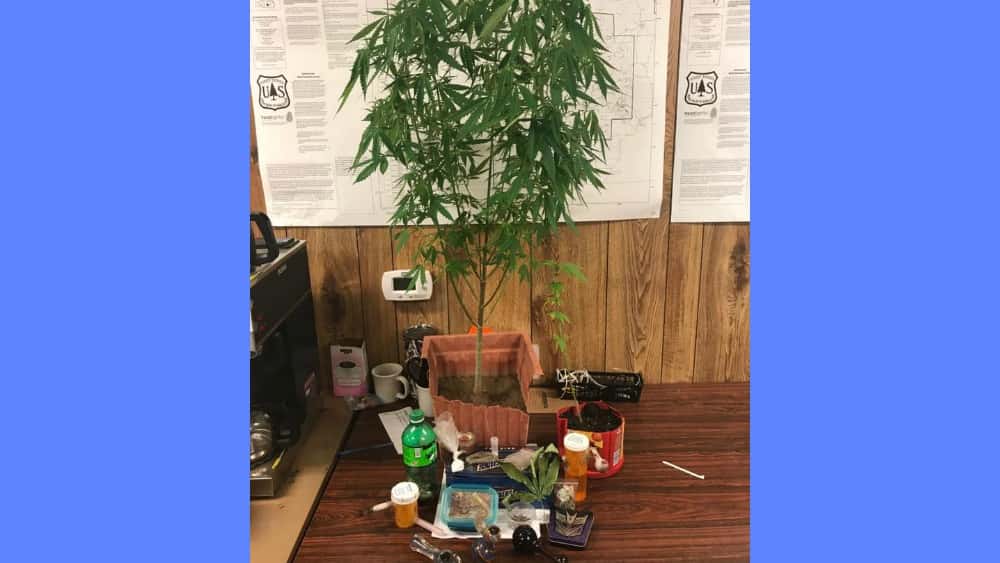 carter-county-drug-raid