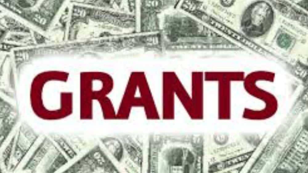 grants