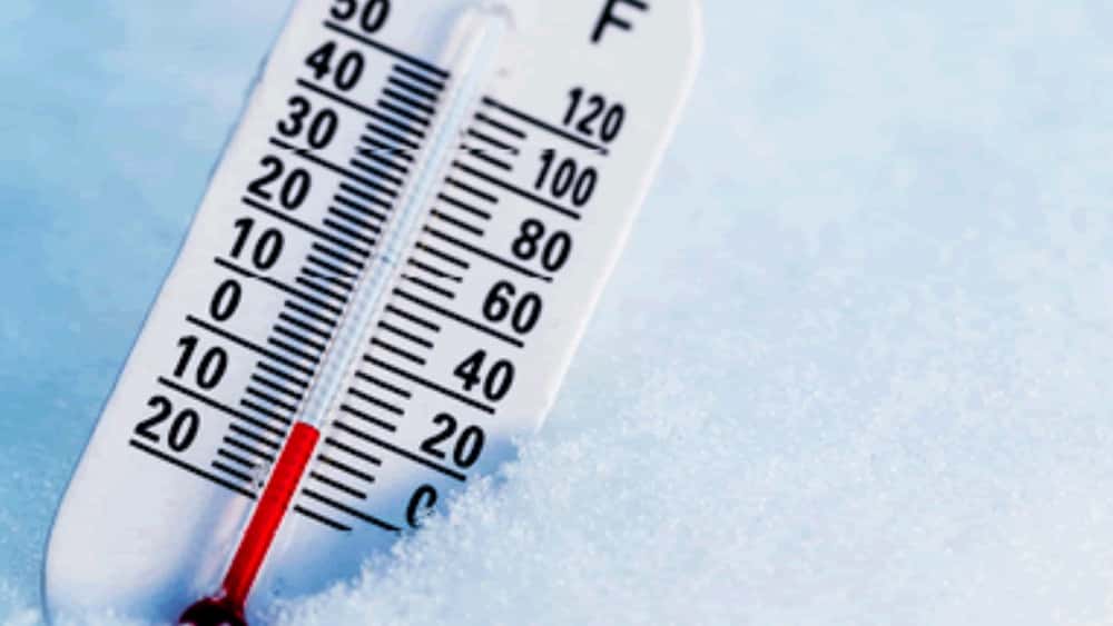 cold-1