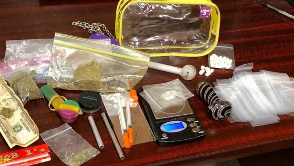 carter-county-drug-bust