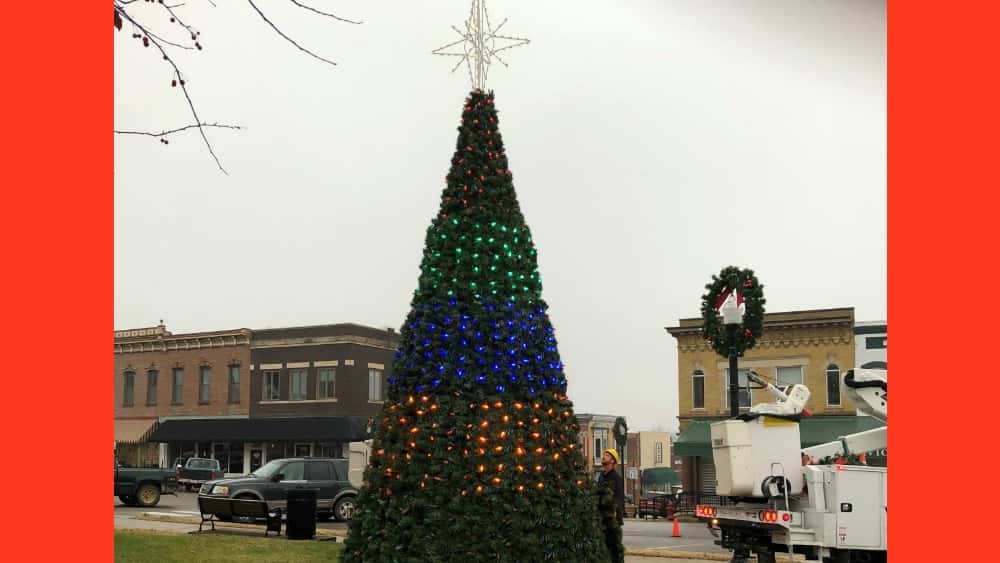 tree
