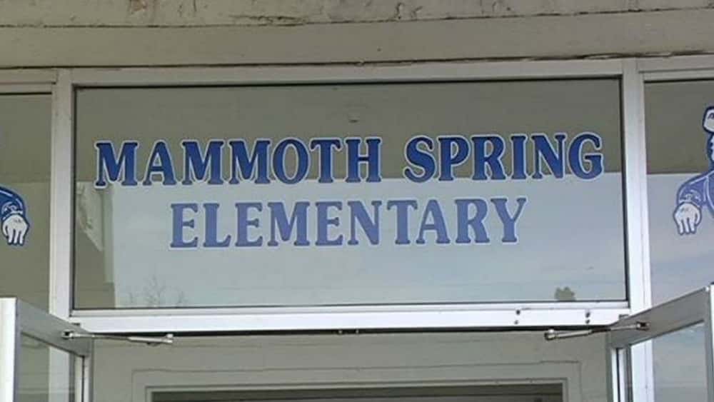 ms-school-4