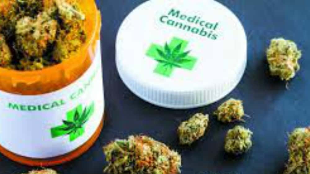 med-mary