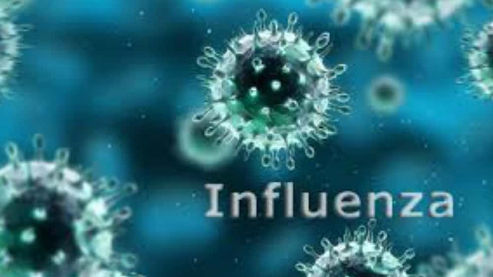 influenza
