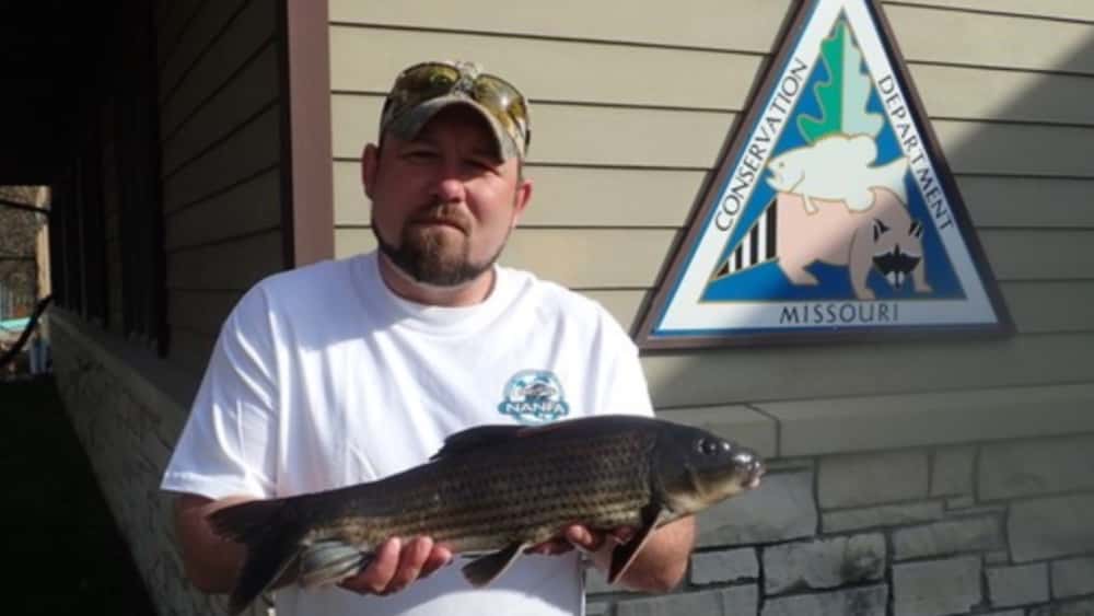 record-fish