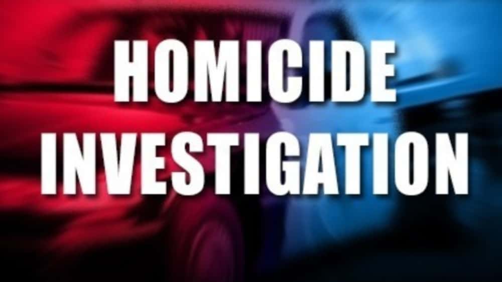 homicide-1