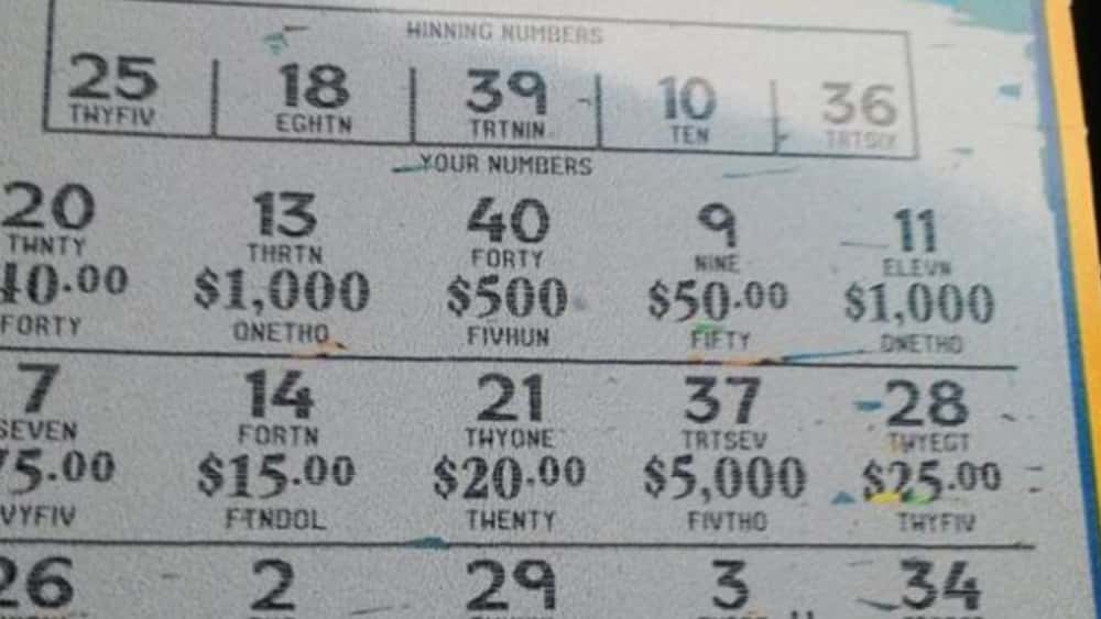 scratchers