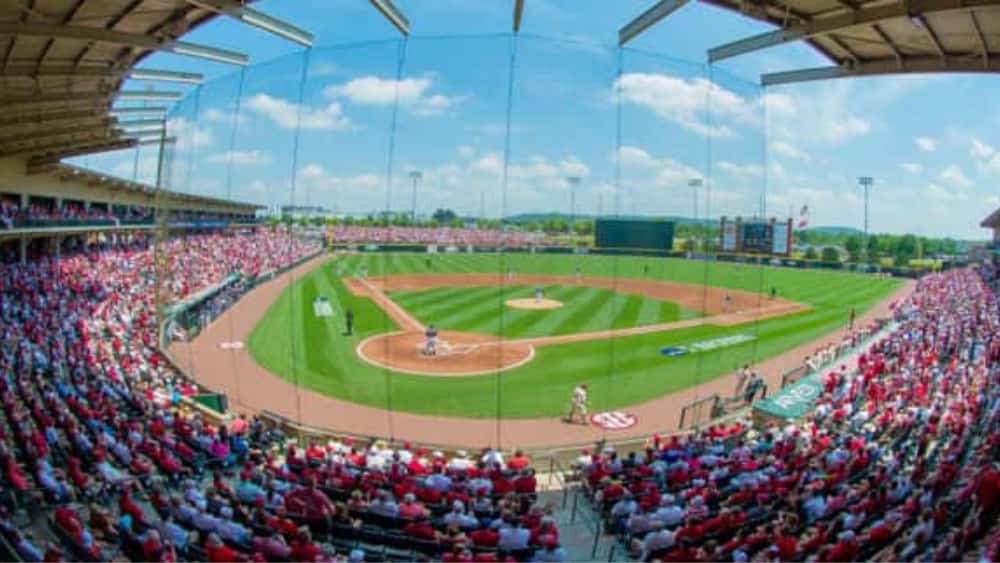 baum-stadium
