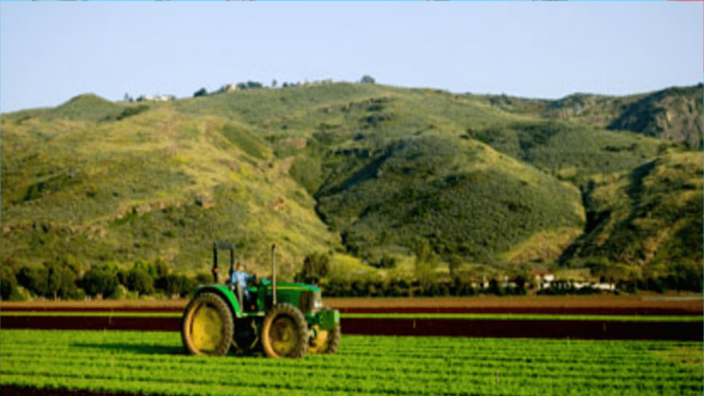 farm-5