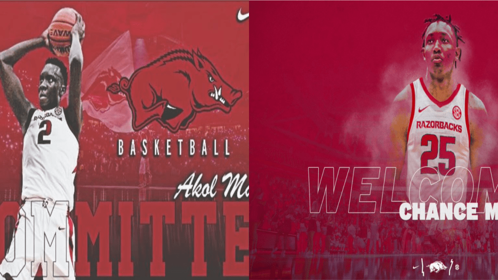 new-hogs-2
